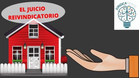 &iquest;C&oacute;mo se lleva a cabo la acci&oacute;n de reivindicaci&oacute;n?