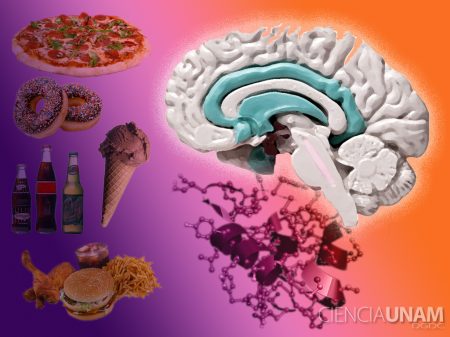 1. Aporte de energ&iacute;a: