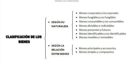 Bienes divisibles