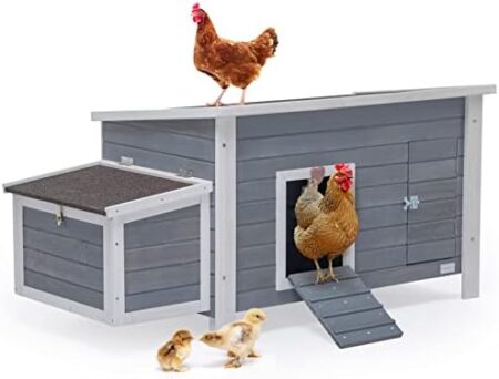 Descubre las mejores cajas de descanso para gallos en nuestro blog Tamaño de la caja