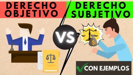 Descubre qué es un derecho subjetivo y su importancia en la sociedad Aplicación en la vida cotidiana