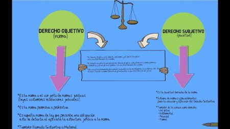 Definición de derecho subjetivo: todo lo que necesitas saber Definición de derecho subjetivo: todo lo que necesitas saber