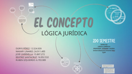 Enfoque conceptual del razonamiento jur&iacute;dico