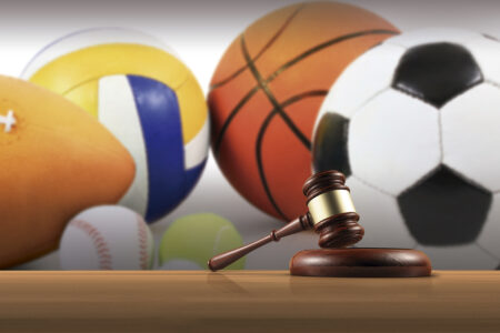 Regulaci&oacute;n de competiciones y organizaciones deportivas