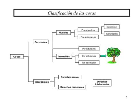 Sesión de derechos reales sobre inmuebles: Mitos y realidades Sesión de derechos reales sobre inmuebles: Mitos y realidades