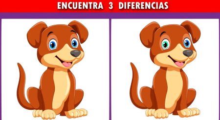 Amnistía vs indulto: conoce la diferencia entre ambos Indulto