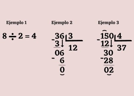 ¿Qué es una escisión? Descubre todo sobre este proceso empresarial Concepto de escisión