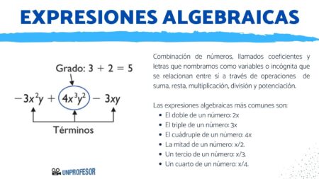 &iquest;C&oacute;mo elegir un doble grado universitario?