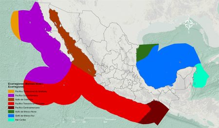 Importancia de la ecorregi&oacute;n de la Puna: