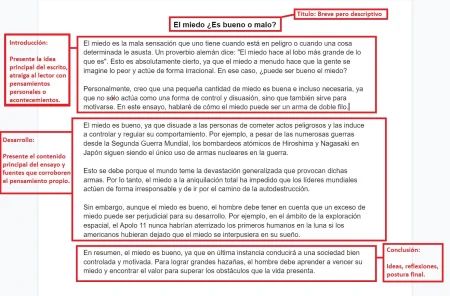 5 Ejemplos de Introducción para tu Ensayo