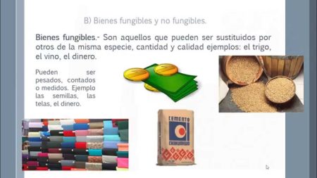 ¿En qué se diferencian?