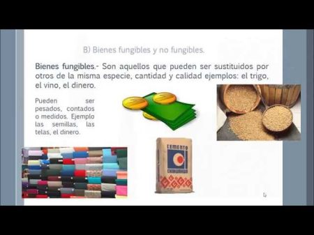Descubre Ejemplos de Bienes Fungibles: Todo lo que Debes Saber