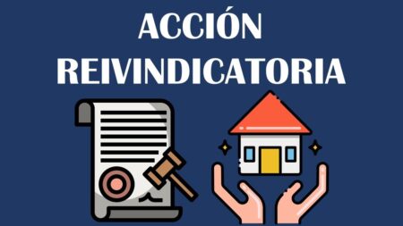 Ejemplos de Acción Reivindicatoria: Protegiendo tus Derechos