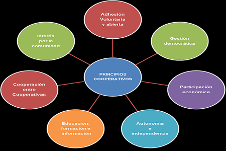 Sociedad Cooperativa: Características y beneficios Sociedad Cooperativa: Características y beneficios