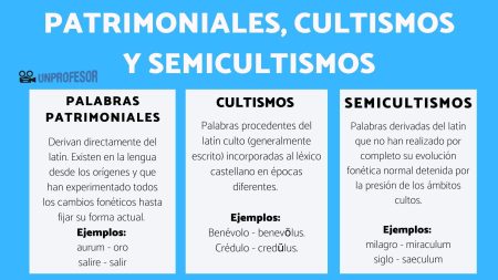 Explorando el significado de los tecnicismos en el ámbito legal