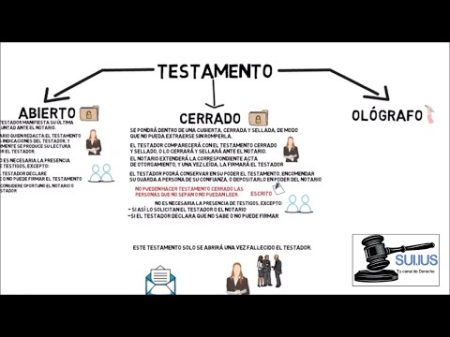 Testamentos ejemplos cortos: Guía para hacer su propio testamento Guía paso a paso para redactar tu testamento desde la comodidad de tu hogar