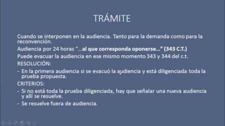 Conoce los mejores ejemplos de excepciones dilatorias en el proceso legal Excepciones perentorias