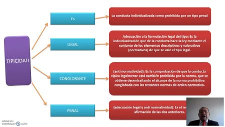 Elementos Objetivos y Subjetivos del Delito: Todo lo que necesitas saber Elementos del tipo penal: