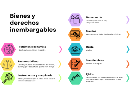 Descubre qué bienes son embargables e inembargables Trabaja con disciplina y constancia