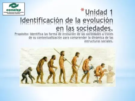 Descubre la diferencia entre sociedades estáticas y dinámicas Desafíos y oportunidades