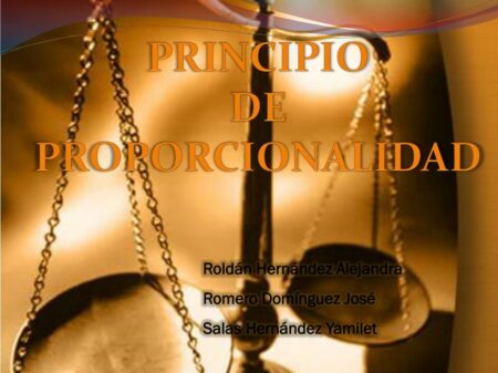 Aplicaci&oacute;n del principio de proporcionalidad