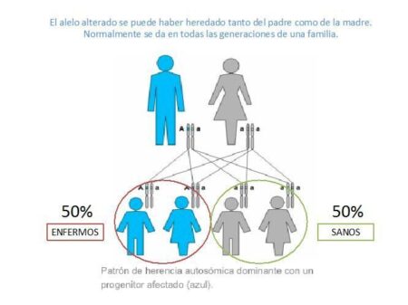 Consecuencias de no reclamar la herencia