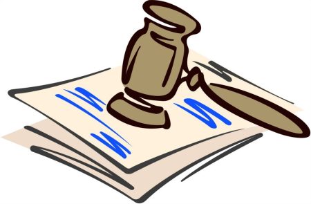 Naturaleza jurídica del derecho procesal: reflexiones y propuestas Garantías procesales