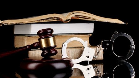 Explorando el delicado equilibrio entre la justicia y la protecci&oacute;n en el sistema penal