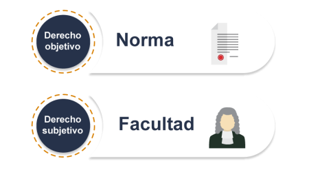 Descubre la teoría de Hans Kelsen sobre el derecho subjetivo en el derecho legal Críticas al positivismo jurídico