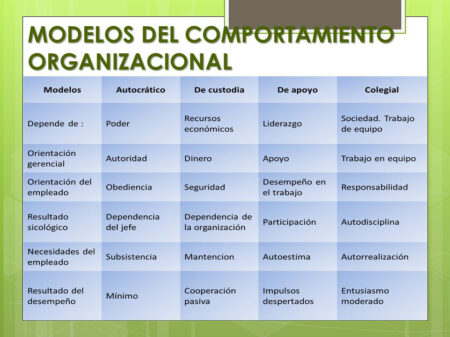Aprendizaje por identificación: descubre su importancia y beneficios ¿Cómo aplicar la identificación en nuestra vida?