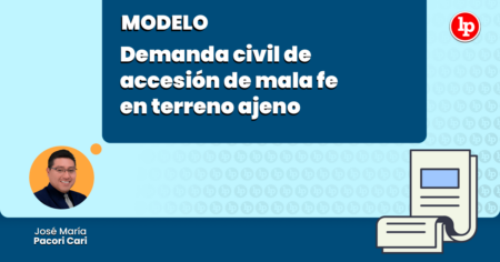 4. Participa en el proceso judicial