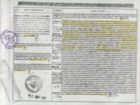 Oposición al registro de la propiedad: ¿Qué hacer? Por qué cuestionar a las marcas que consumimos