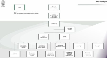 Control del poder pol&iacute;tico