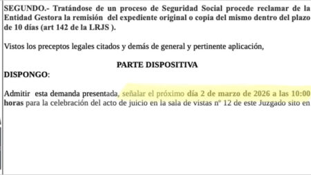 Plazo para interponer demanda ante el juzgado de lo social: lo que debes saber Plazos legales