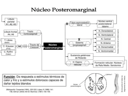 Todo lo que debes saber sobre el principio de tracto sucesivo Todo lo que debes saber sobre el principio de tracto sucesivo