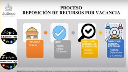 ¿Qué es la reposición y cómo funciona en diferentes contextos?