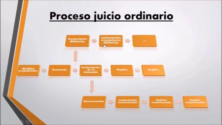 Proceso Ordinario Civil: Etapas y Resumen del Código Procesal Etapa de alegatos