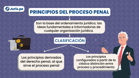 2. Audiencias preliminares:
