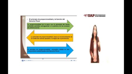 Principio de proporcionalidad penal: la regla fundamental en el Derecho Principio de proporcionalidad penal: la regla fundamental en el Derecho