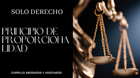 Principio de proporcionalidad penal: la regla fundamental en el Derecho Origen y evolución