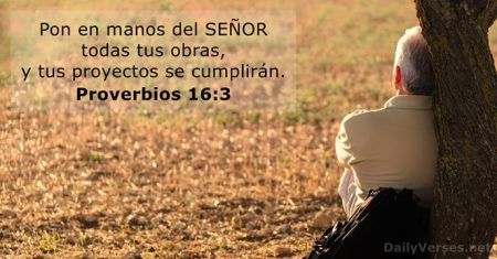 El poder de los refranes: sabidur&iacute;a popular en pocas palabras