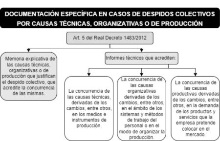 Real Decreto: Claves de las modificaciones estructurales según el BOE Real Decreto: Claves de las modificaciones estructurales según el BOE