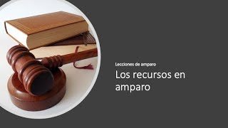 Todo lo que necesitas saber sobre el escrito de interposición en ley 5348 de Salta y ley 2677 de Misiones Claves para su aplicación