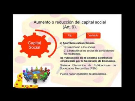 Guía completa sobre reducción de capital social en sociedades anónimas Guía completa sobre reducción de capital social en sociedades anónimas