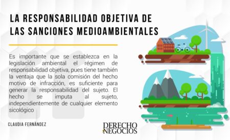 Responsabilidad Civil Objetiva: Todo lo que necesitas saber Responsabilidad Civil Objetiva: Todo lo que necesitas saber