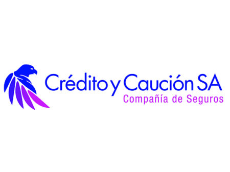 Seguro de crédito y caución: Definición y diferencias ¿Cómo funciona el seguro de caución?