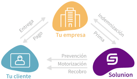 2. P&oacute;lizas de cauci&oacute;n