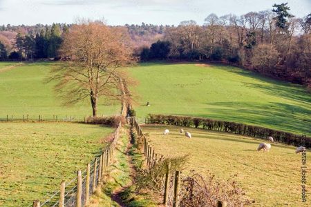 Guía para identificar si una finca tiene servidumbre de paso Todo lo que necesitas saber sobre la servidumbre de paso en una finca urbana
