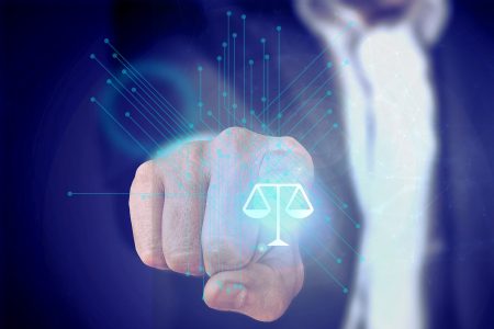 Derechos y garant&iacute;as fundamentales en el art&iacute;culo 60: