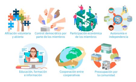 Descubre las características esenciales de una cooperativa Participación